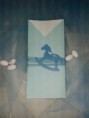 /products/prosklisi-vaptisis-me-karoyzel/